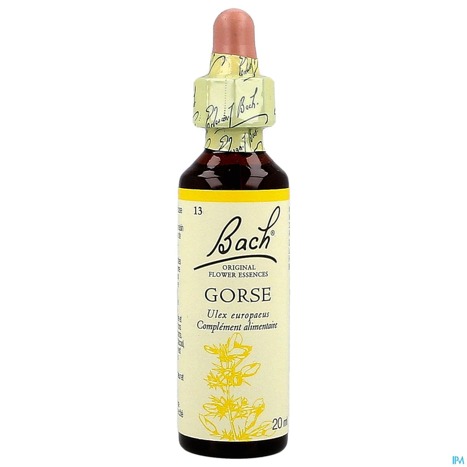 FL BACH ORIGINAL GORSE 20ML