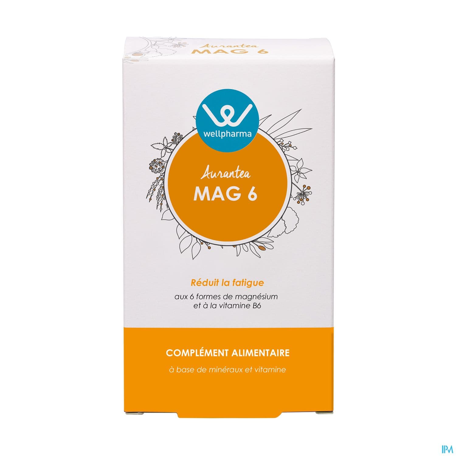 WELLPHARMA AURANTEA MAG 6 CPR 60