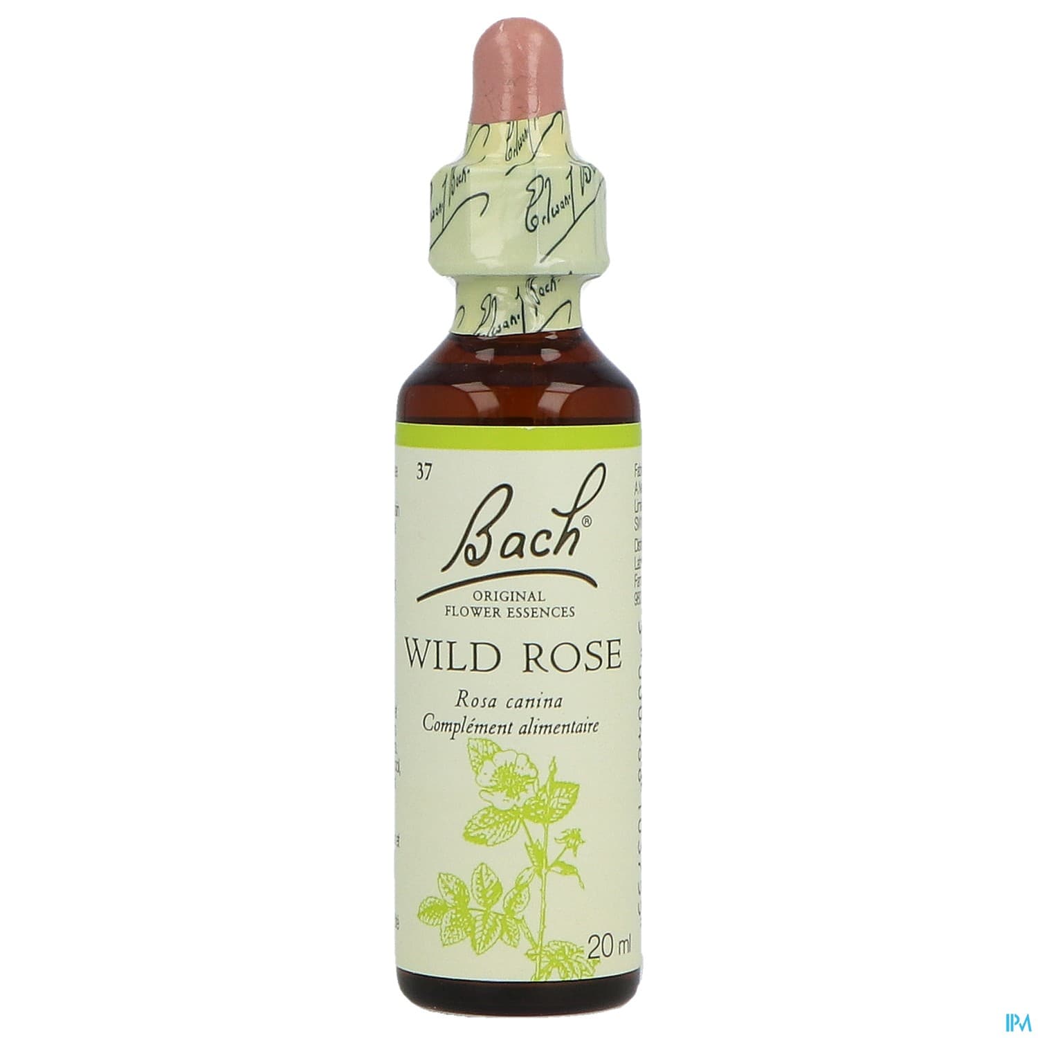 Fleurs De Bach Original 37 Wild Rose Compte Gouttes 20ml