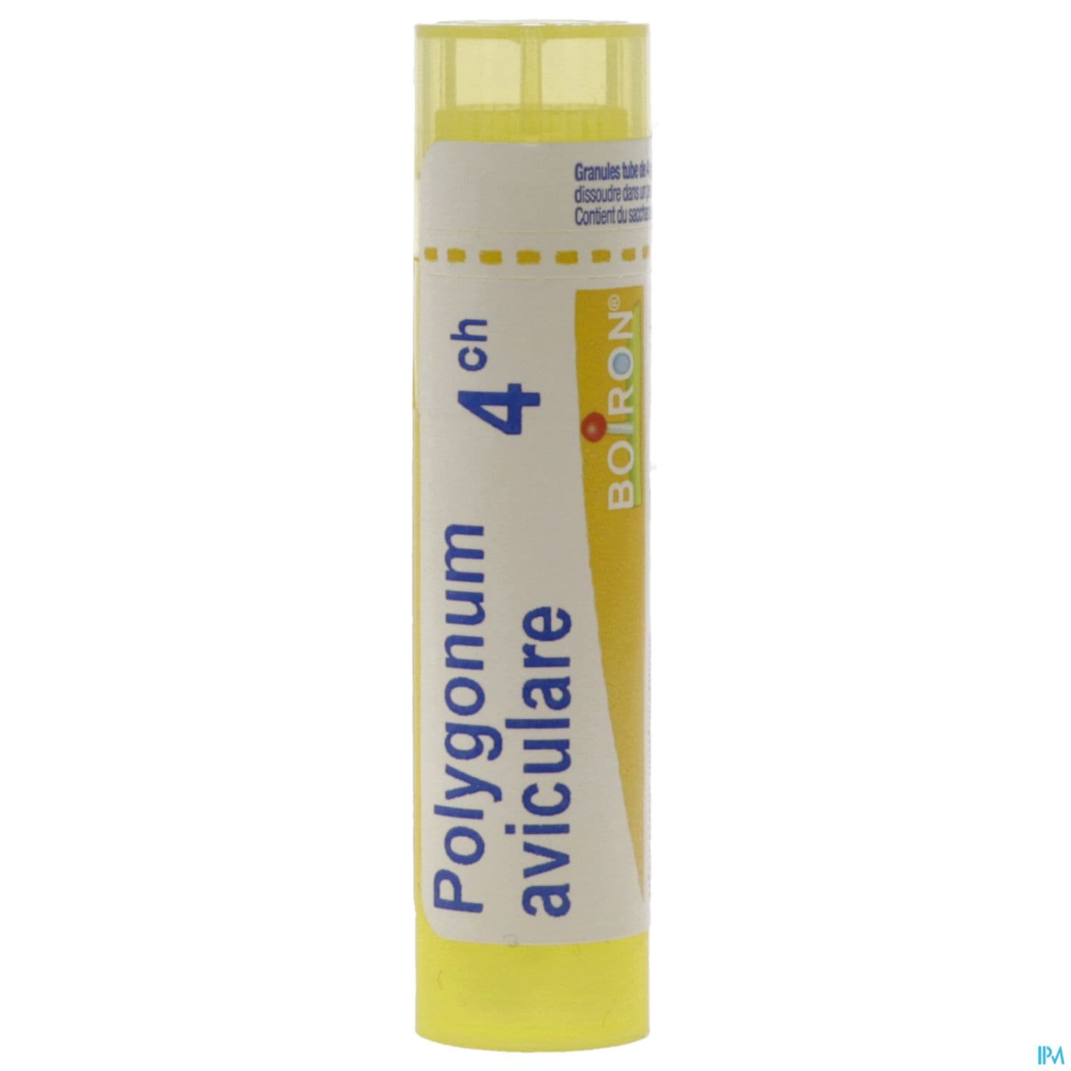 POLYGONUM AVIC. 4CH TG B