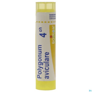 POLYGONUM AVIC. 4CH TG B