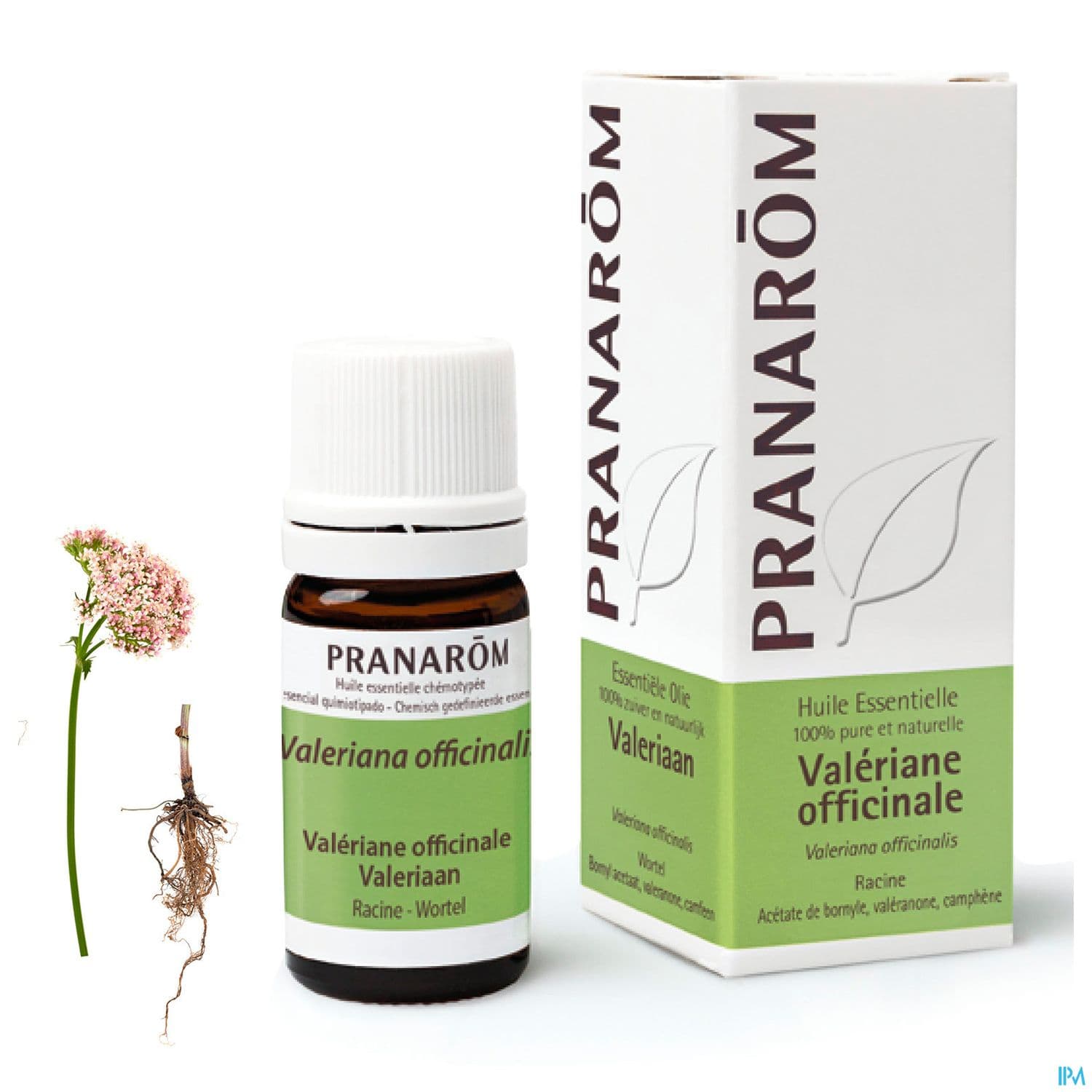 Pranarom Huile Essentielle Valeriane Officinale Racine 5ml