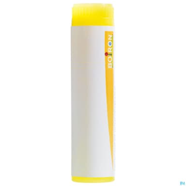 ARNICA MONTANA 4CH DO GL B