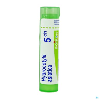 HYDROCOTYLE AS. 5CH TG B