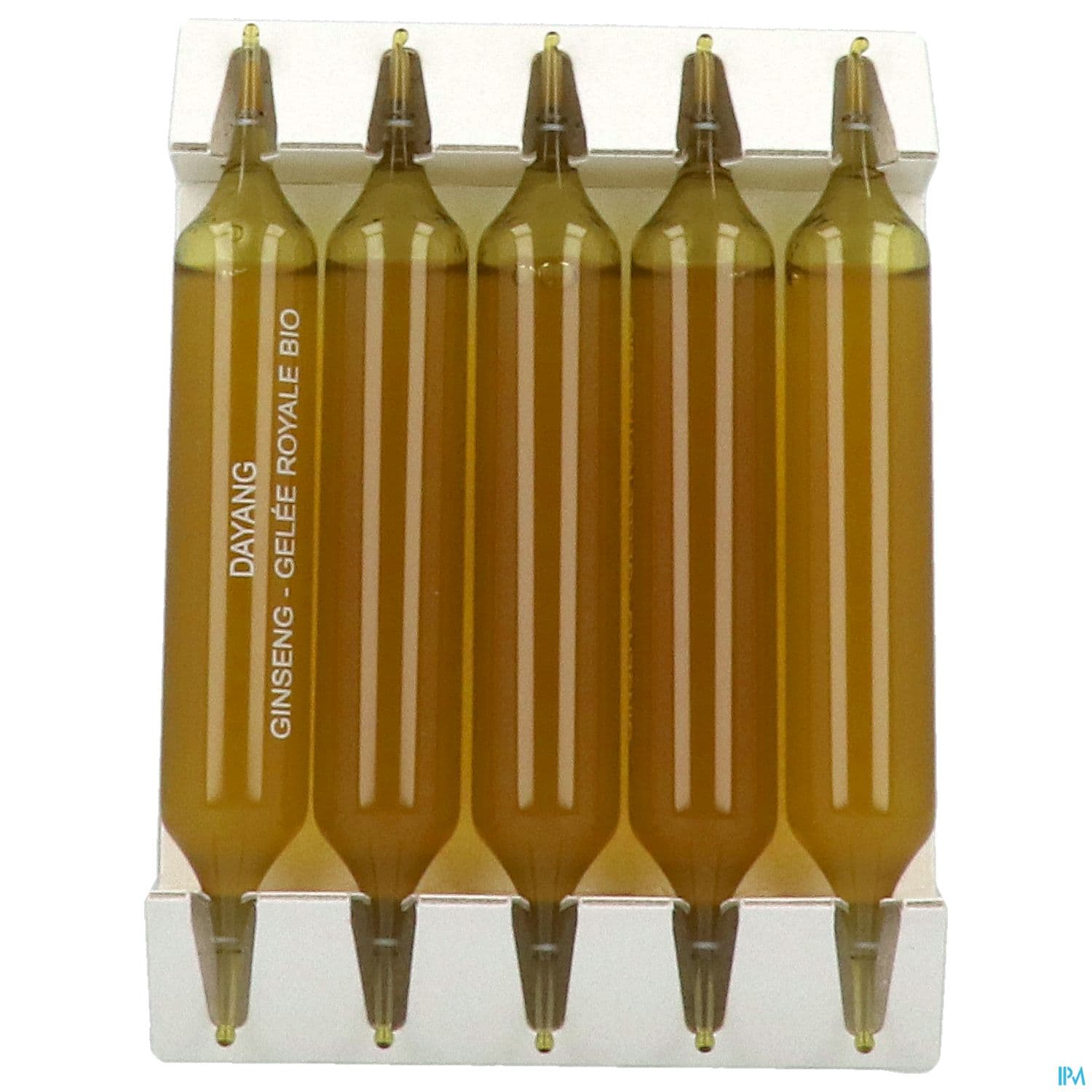 DAYANG GINSENG/GELE ROY AMP10MLX20