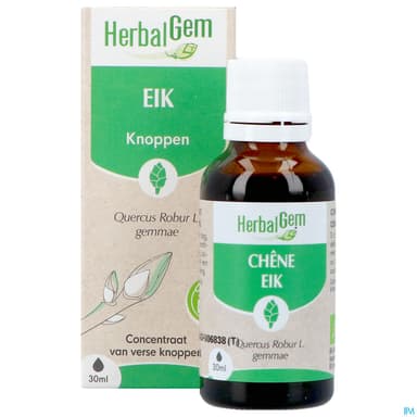 Herbalgem Chene Bourgeon Macerat Glycerin Bio 30ml