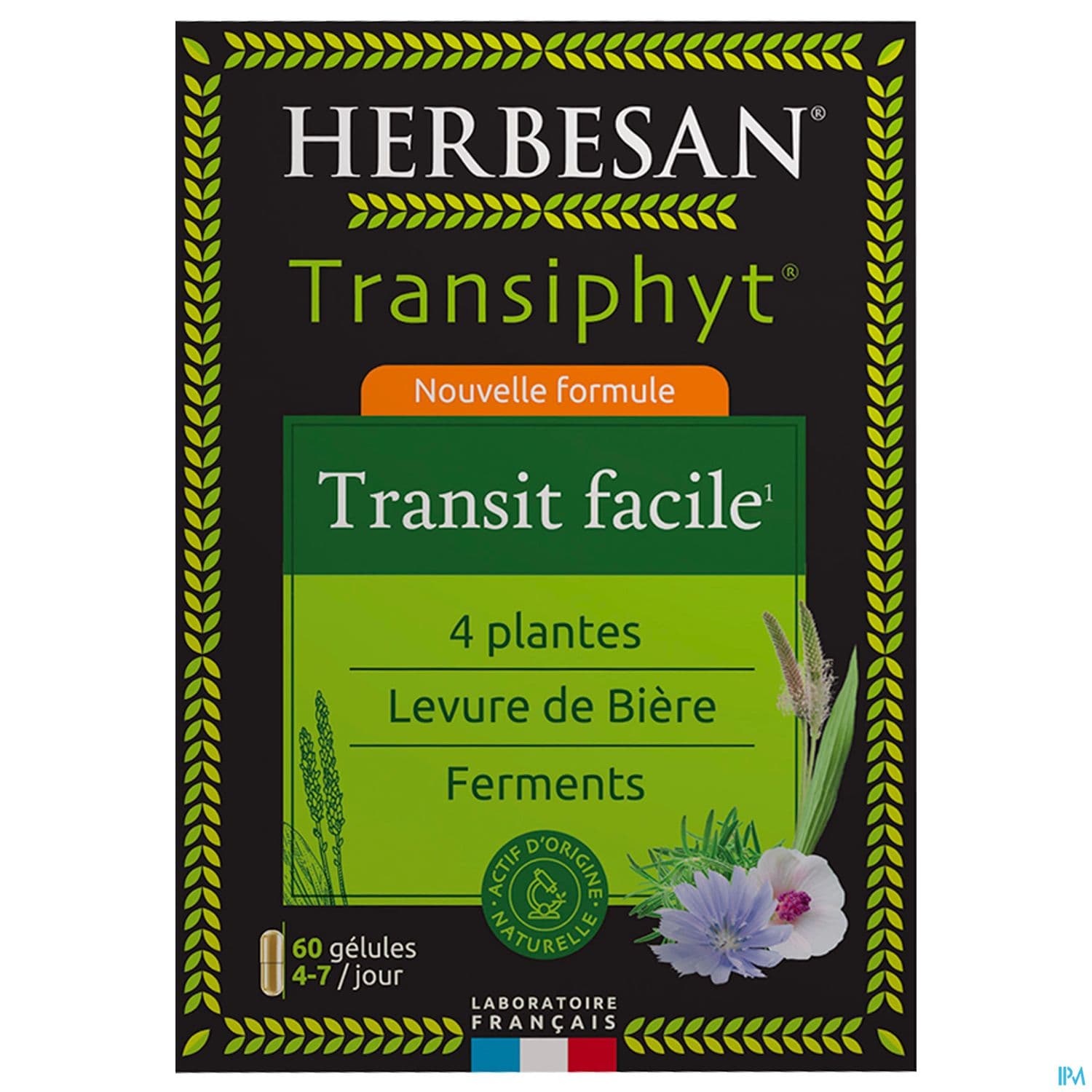 HERBESAN TRANSIPHYT GEL60
