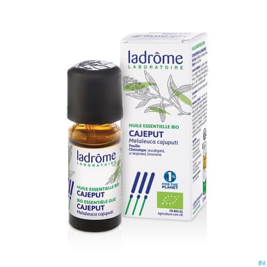 Ladrome Huile Essentielle Bois Cajeput Bio 10ml