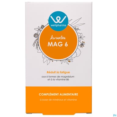 WELLPHARMA AURANTEA MAG 6 CPR 60