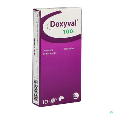 Doxyval 100mg Quadri Comprime Quadrisecable 10