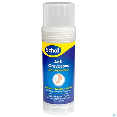 SCHOLL STICK ANTI CREVASSE U+
