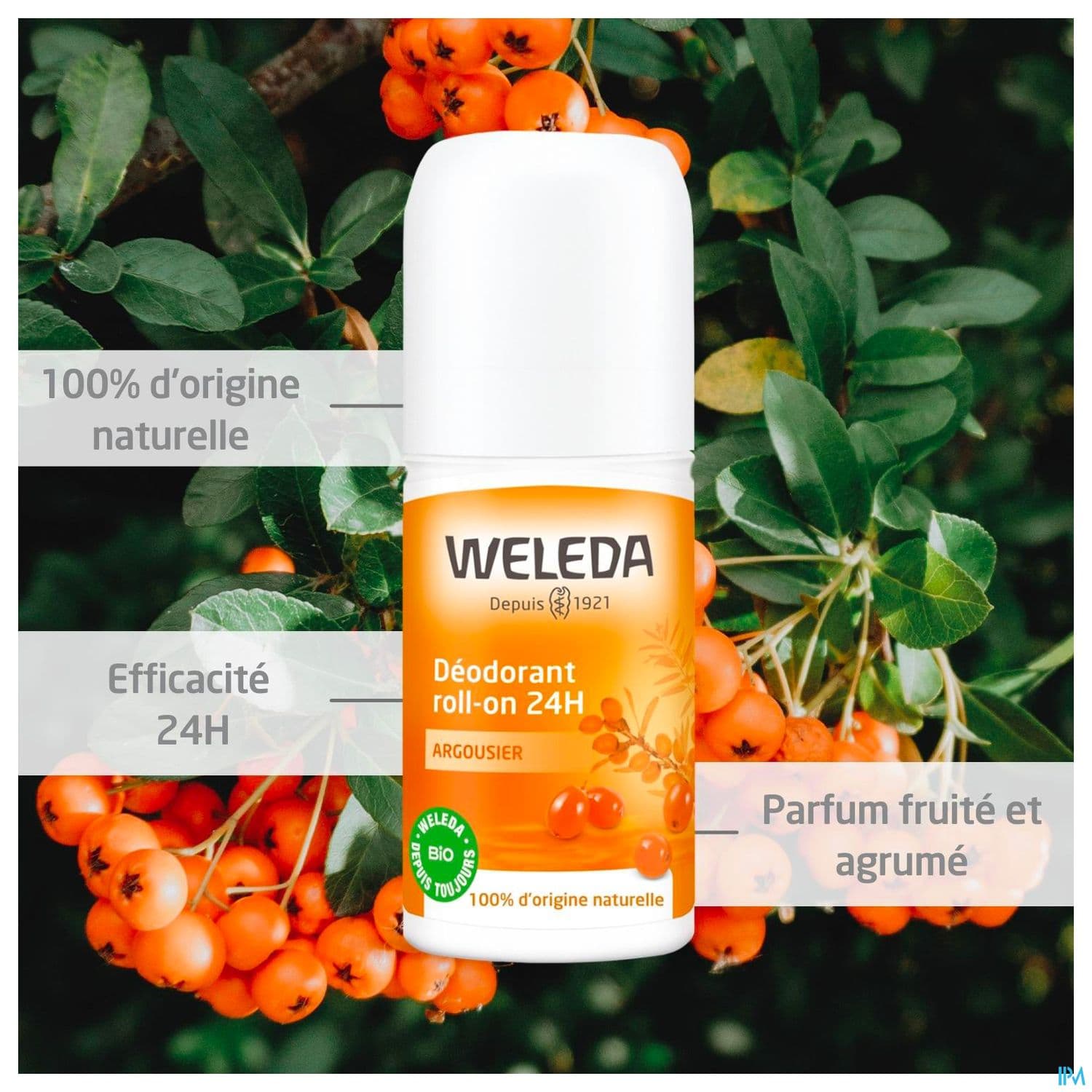 WELEDA DEOD 24H ARGOUS ROLLON 50ML