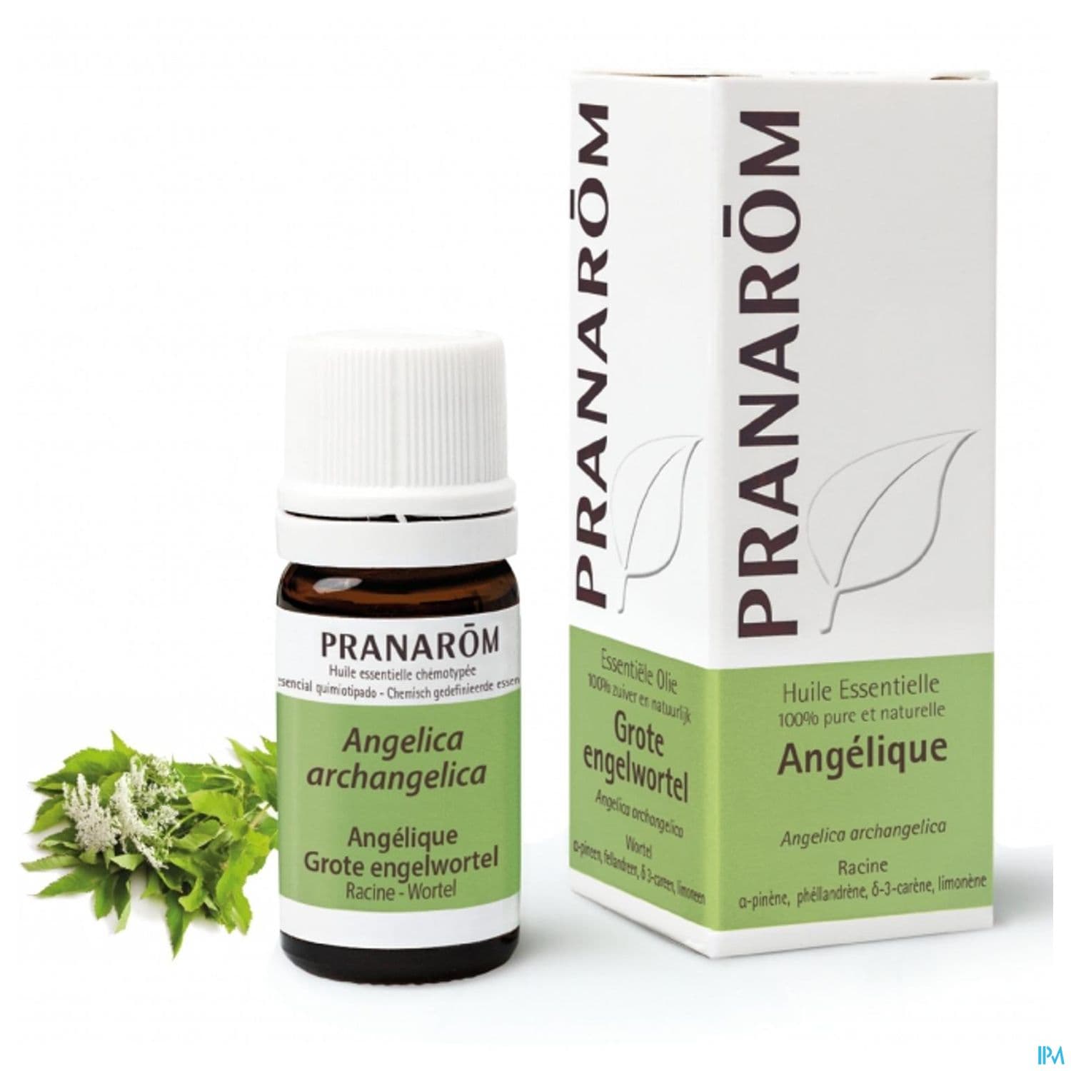 Pranarom Huile Essentielle Angelique Racine 5ml