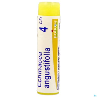 Boiron Echinacea Ang. 4ch Globules 1g