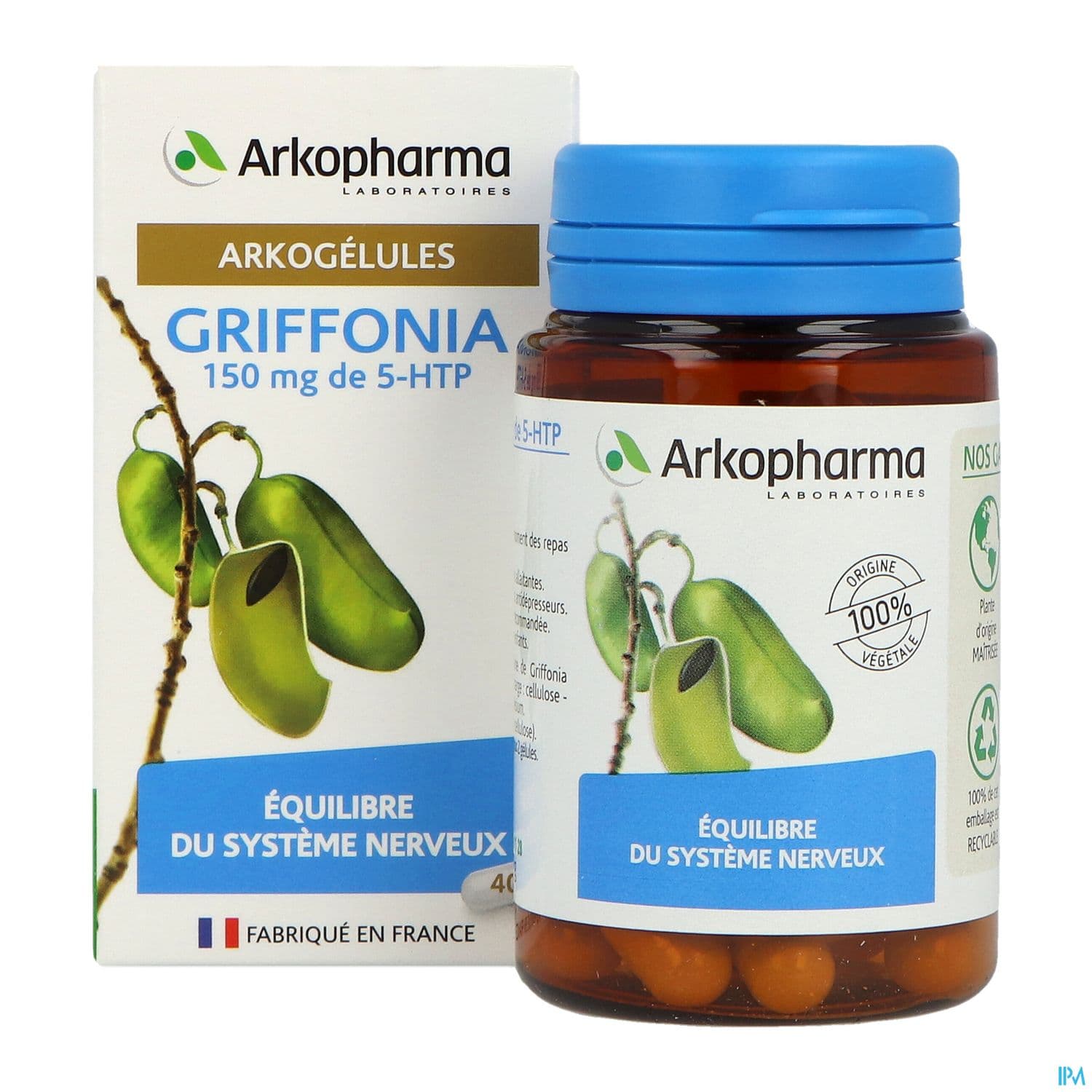 ARKOG GRIFFONIA GELUL 40