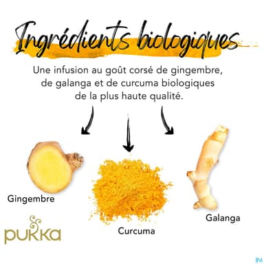 Pukka Infusion 3 Gingembres Bio Sachet 20