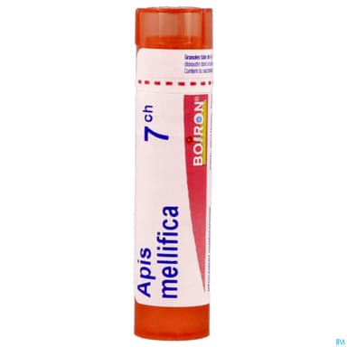APIS MELLIFICA 7CH TG B