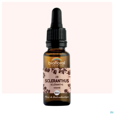 BIOFLORAL FLB28 SCLERANTHUS 20ML