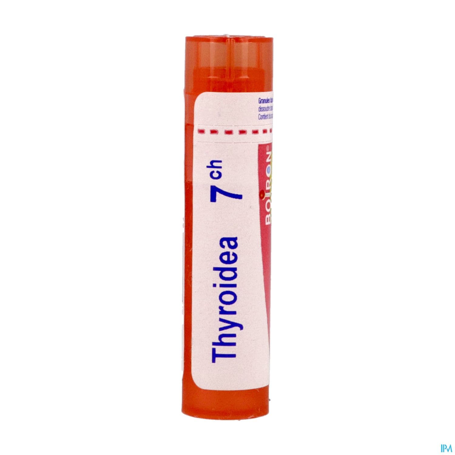 THYROIDEA 7CH TG B