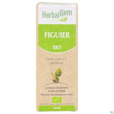 Herbalgem Figuier Bourgeon Macerat Glycer Bio 30ml