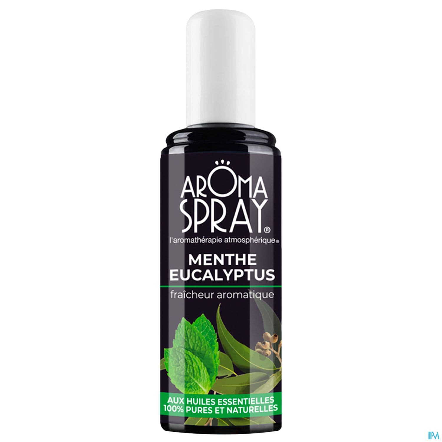 530 Aromaspray Menthe Eucalyptus Spray 100ml