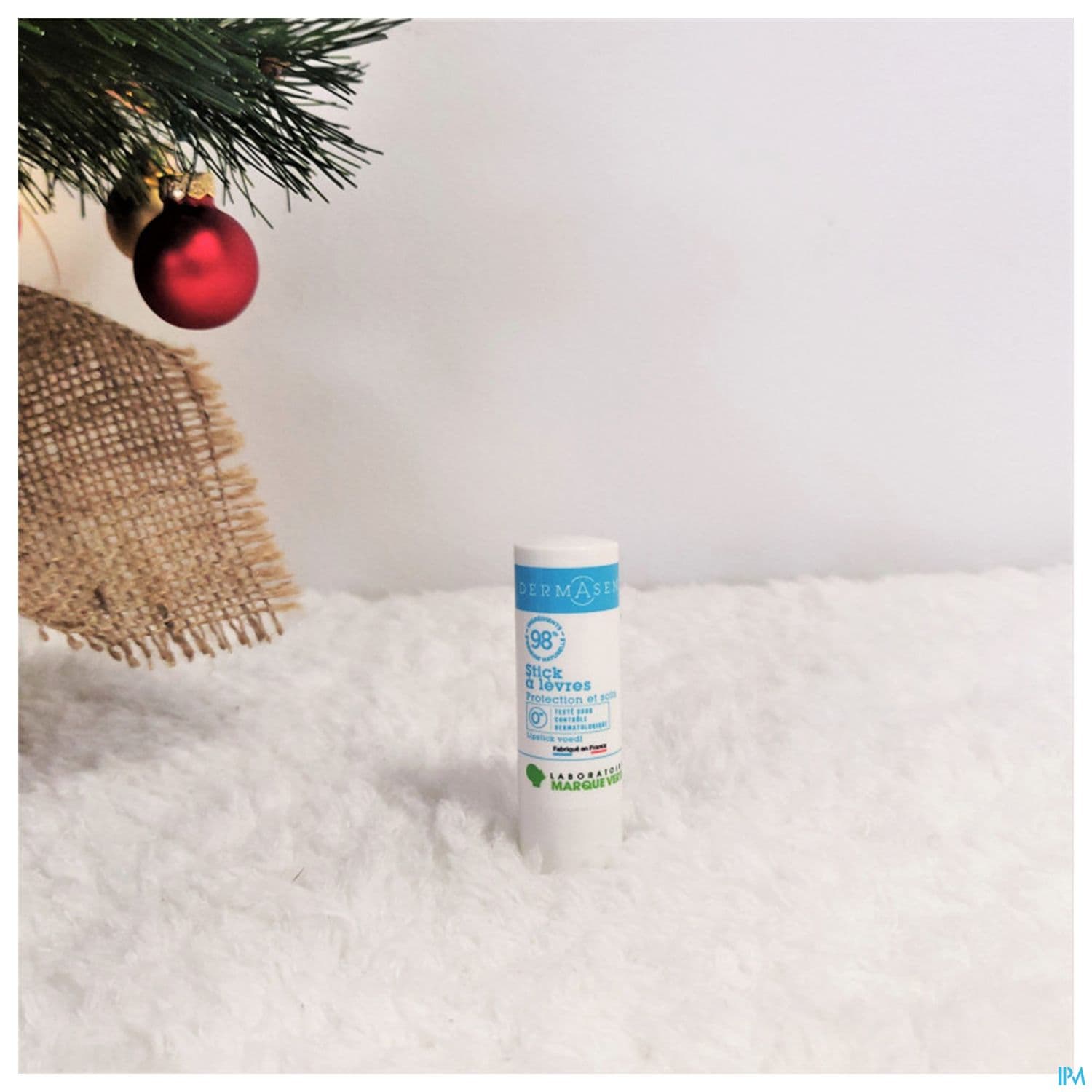 DERMASENS STICK LEVRE 4G