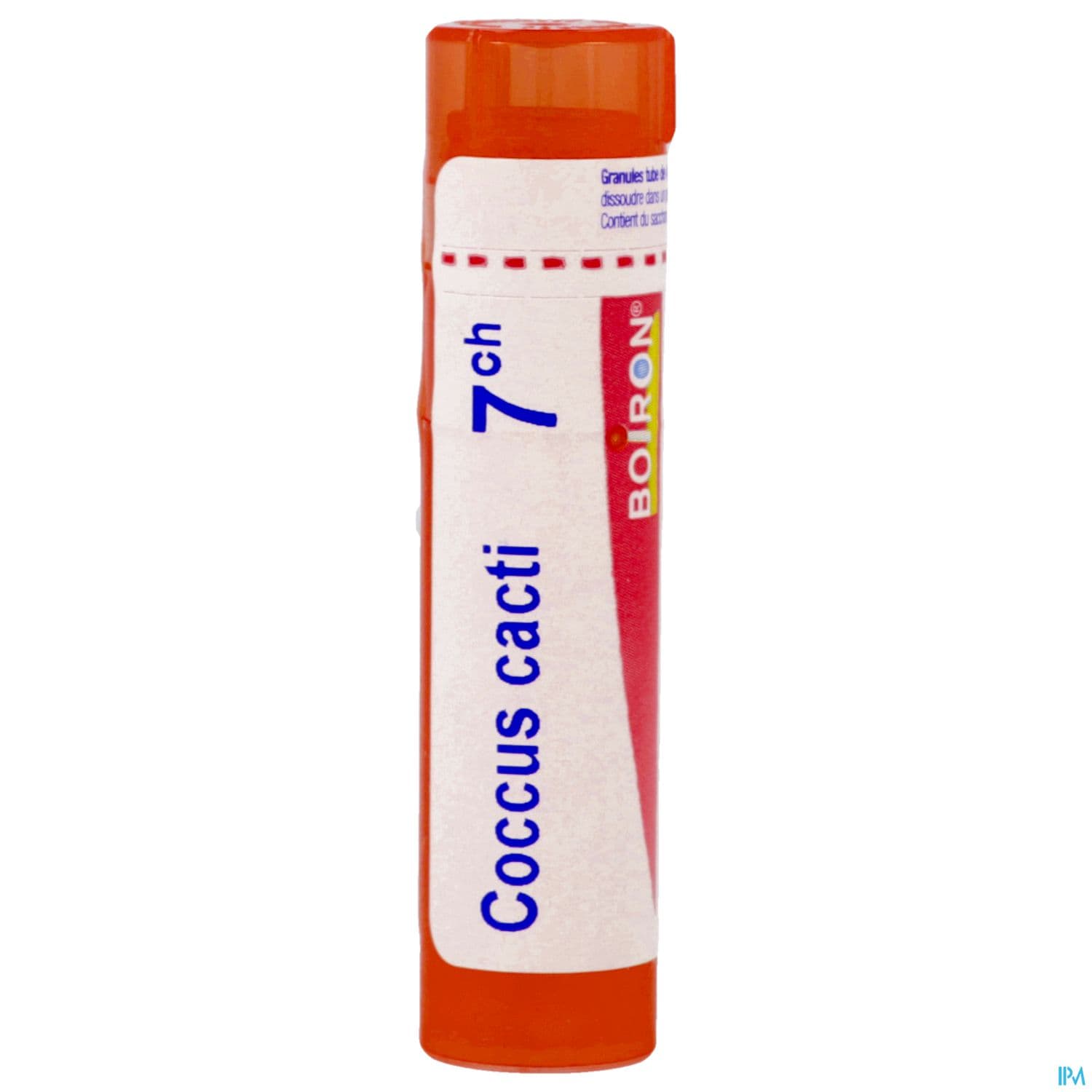 COCCUS CACTI 7CH TG B