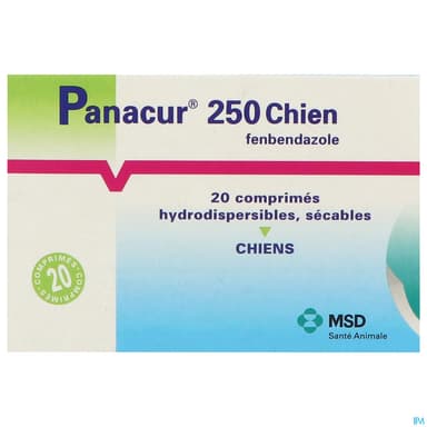 PANACUR 250 CPR CHIEN 20