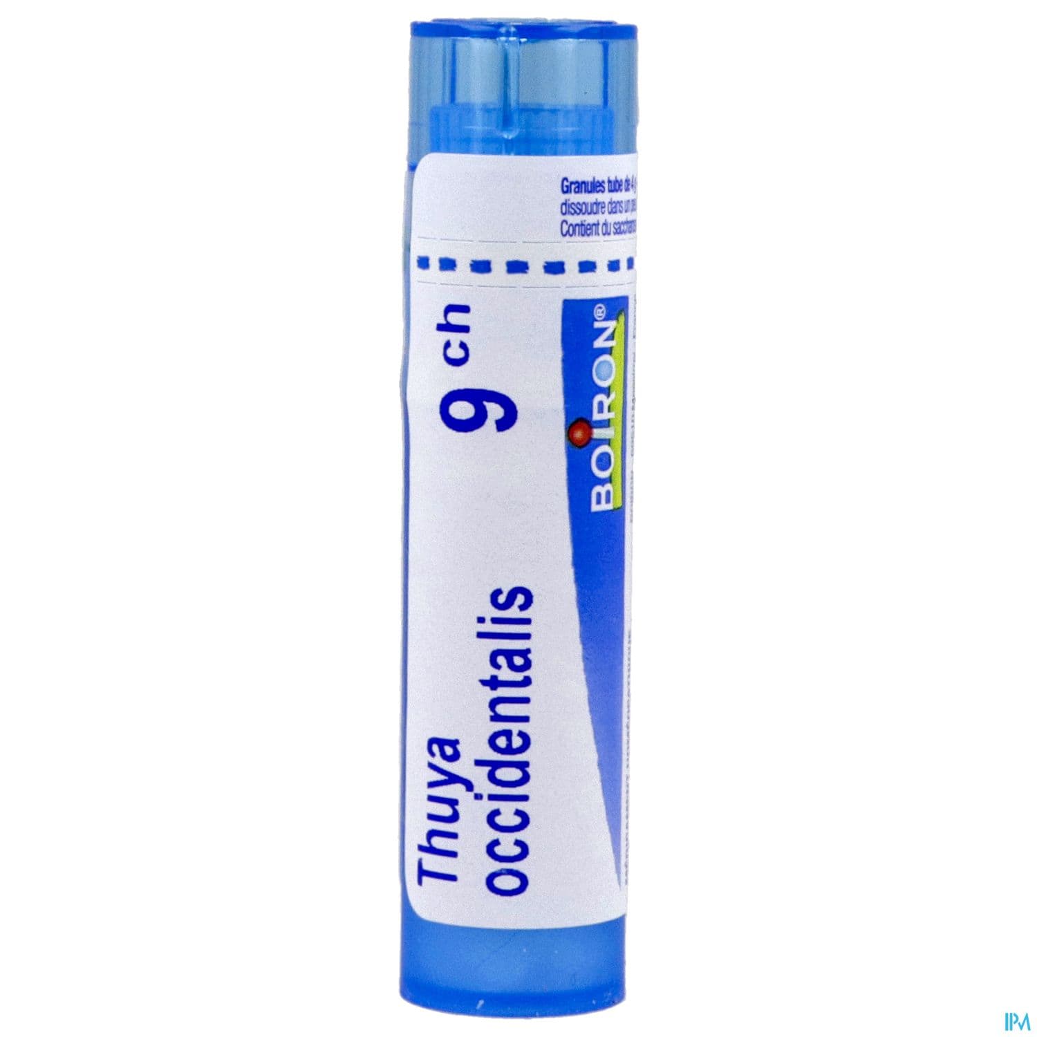 THUYA OCCIDENT. 9CH TG B