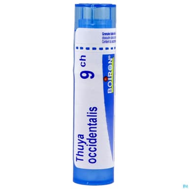 THUYA OCCIDENT. 9CH TG B