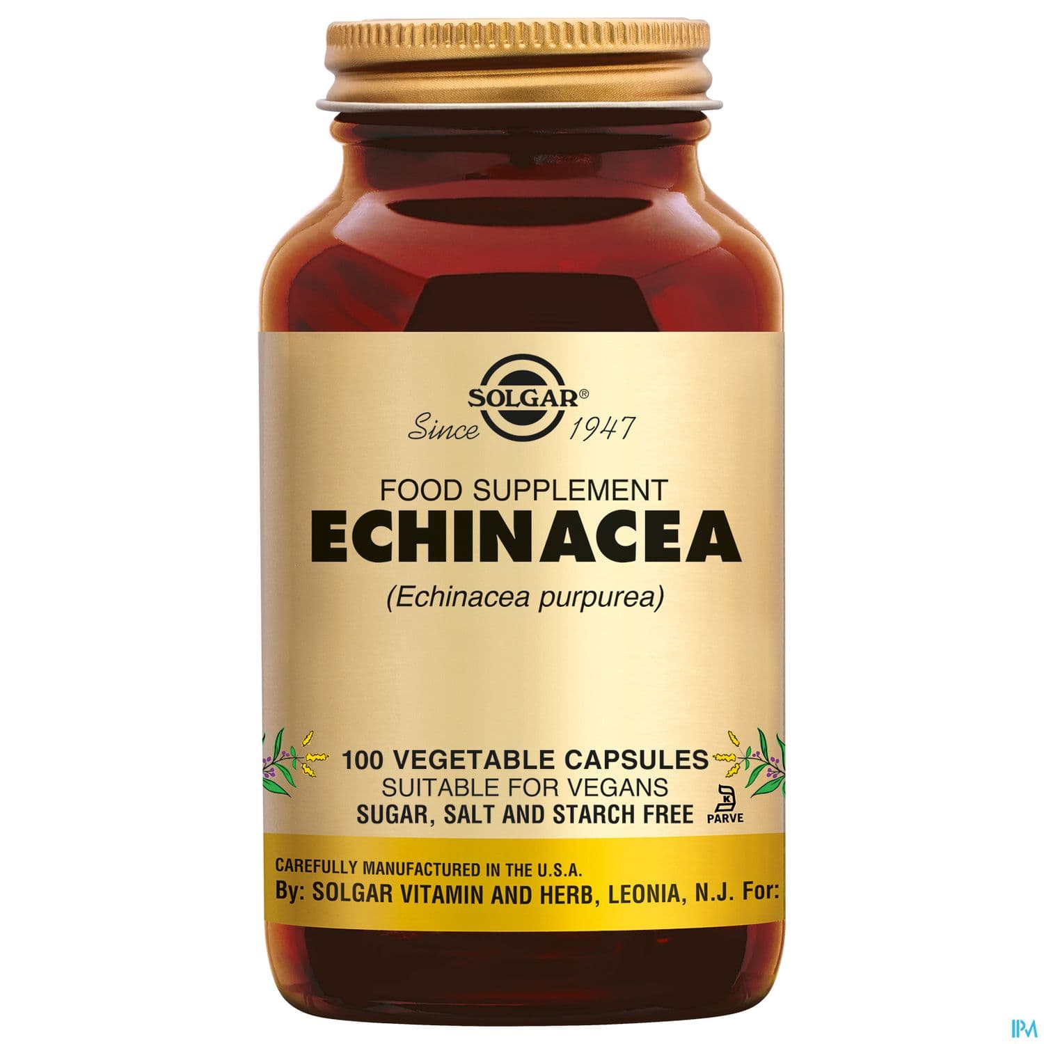 SOLGAR ECHINACEE GELUL VEG 100