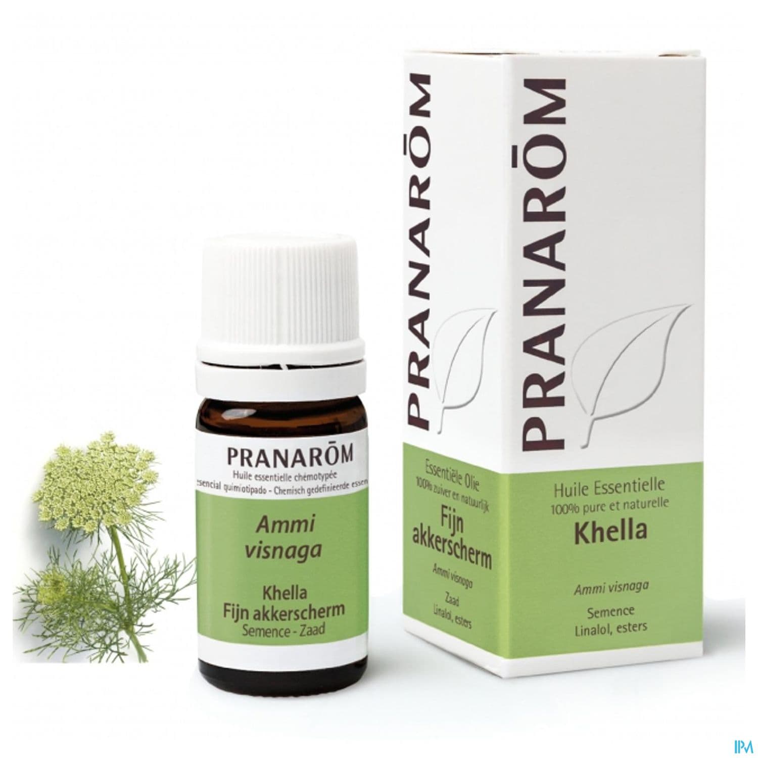 Khella Hle Ess 5ml Pranarom