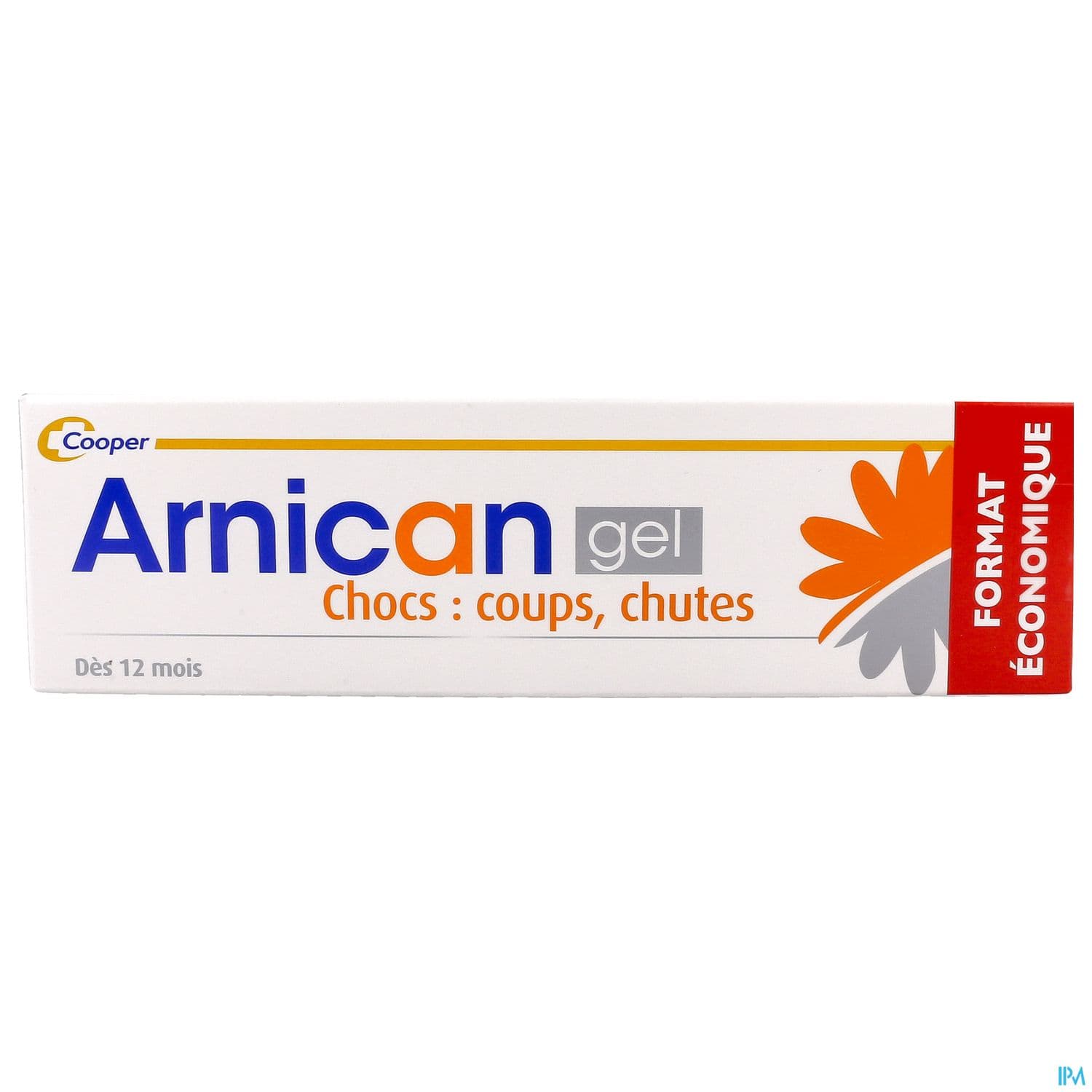 ARNICAN GEL 100G