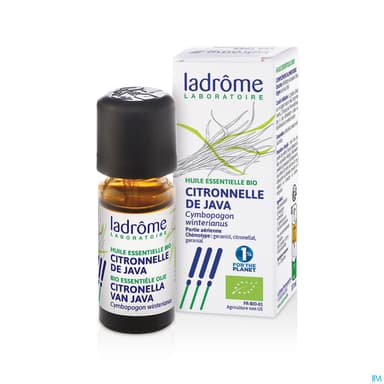 CITRONNEL JAVA LADROME HLE ESS10ML