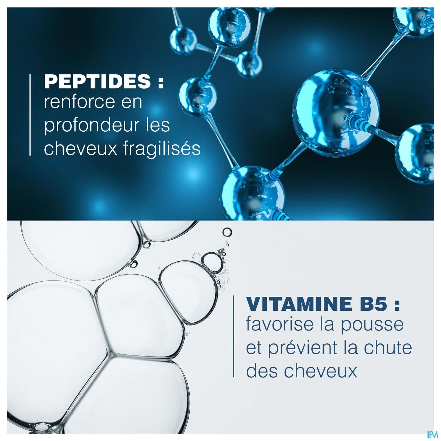 ANAPHASE AP/SH FORTIFIANT 200ML