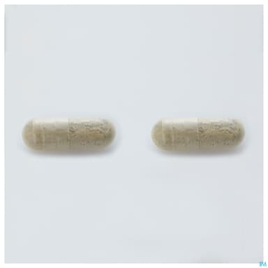 ARKOG BACOPA GELUL 45