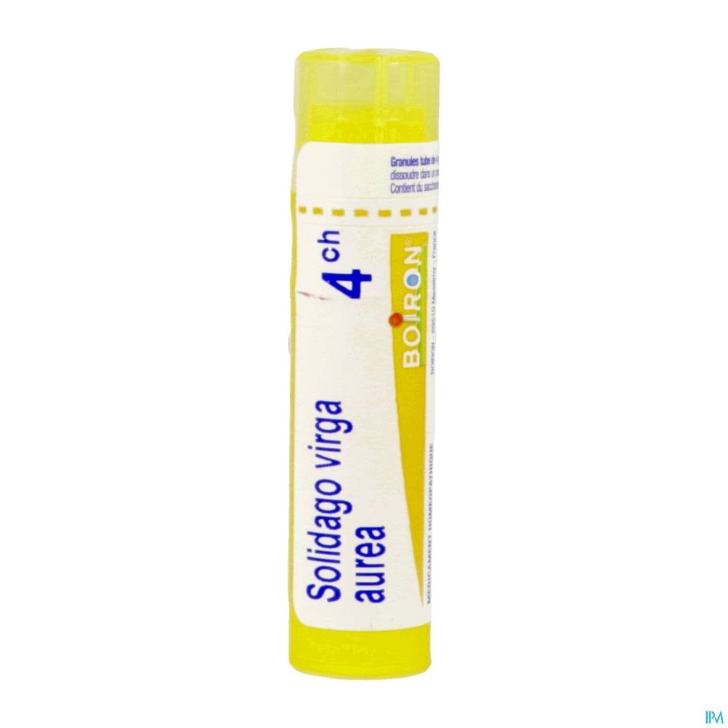 SOLIDAGO VIR.AUR 4CH TG B