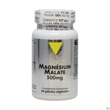 VIT ALL+ MAGNESIUM 500MG GELUL 60