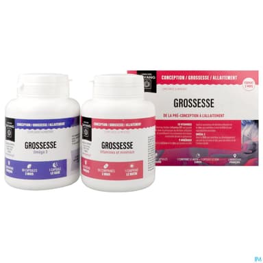 Dayang Grossesse 3mois Comprime 90 + Capsule 90