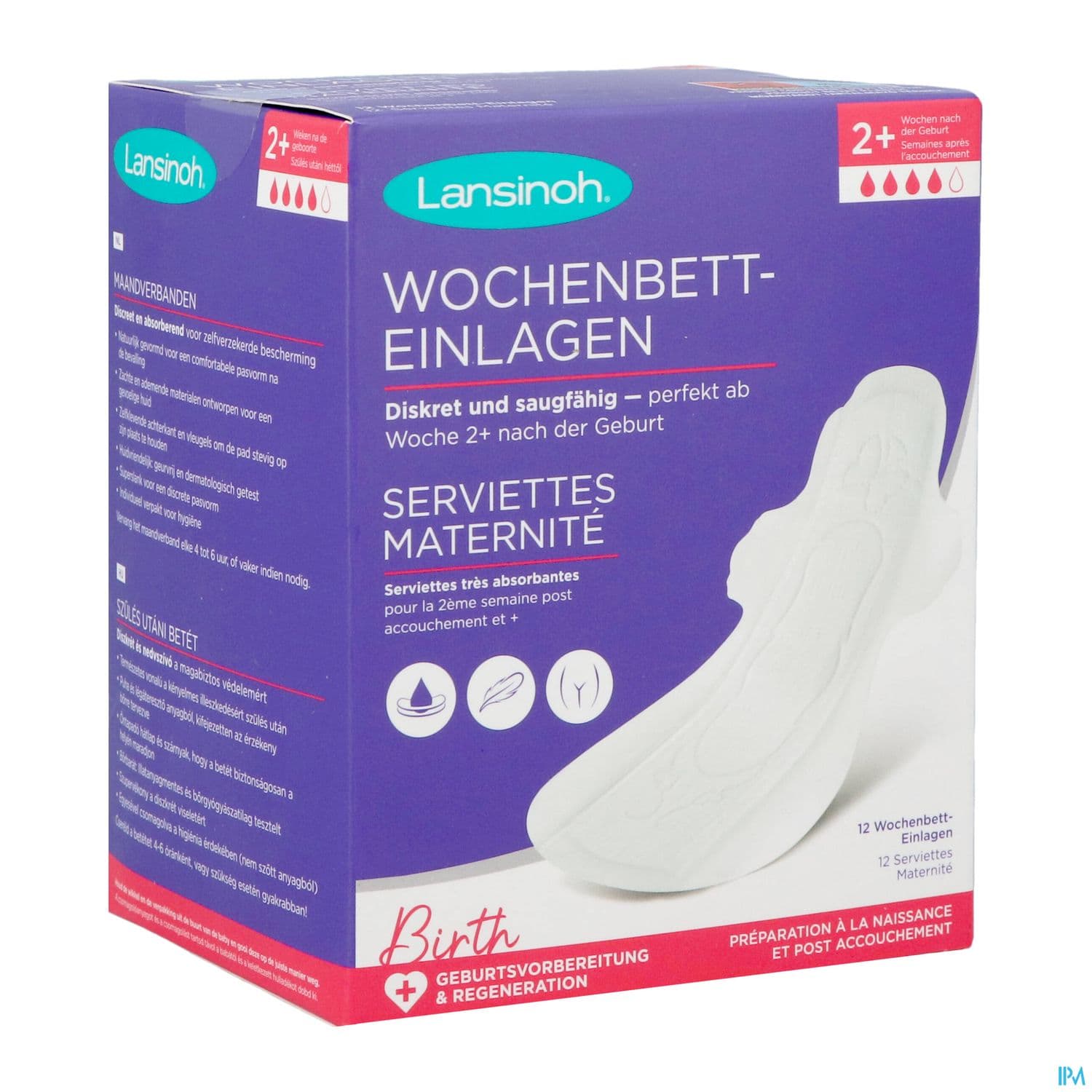 LANSINOH SERV MATERNITE X12