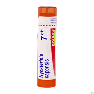 Boiron Nycterinia Cap. 7ch Granules 4g