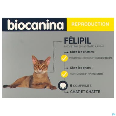 Felipil Comprime 6