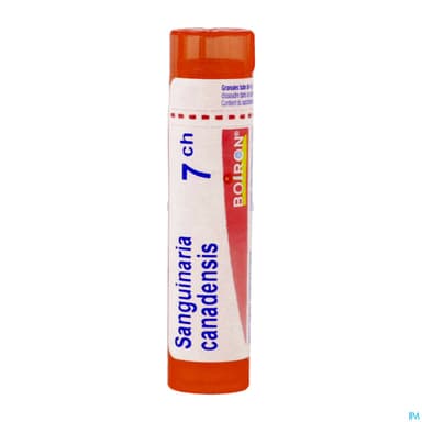 SANGUINARIA CAN. 7CH TG B