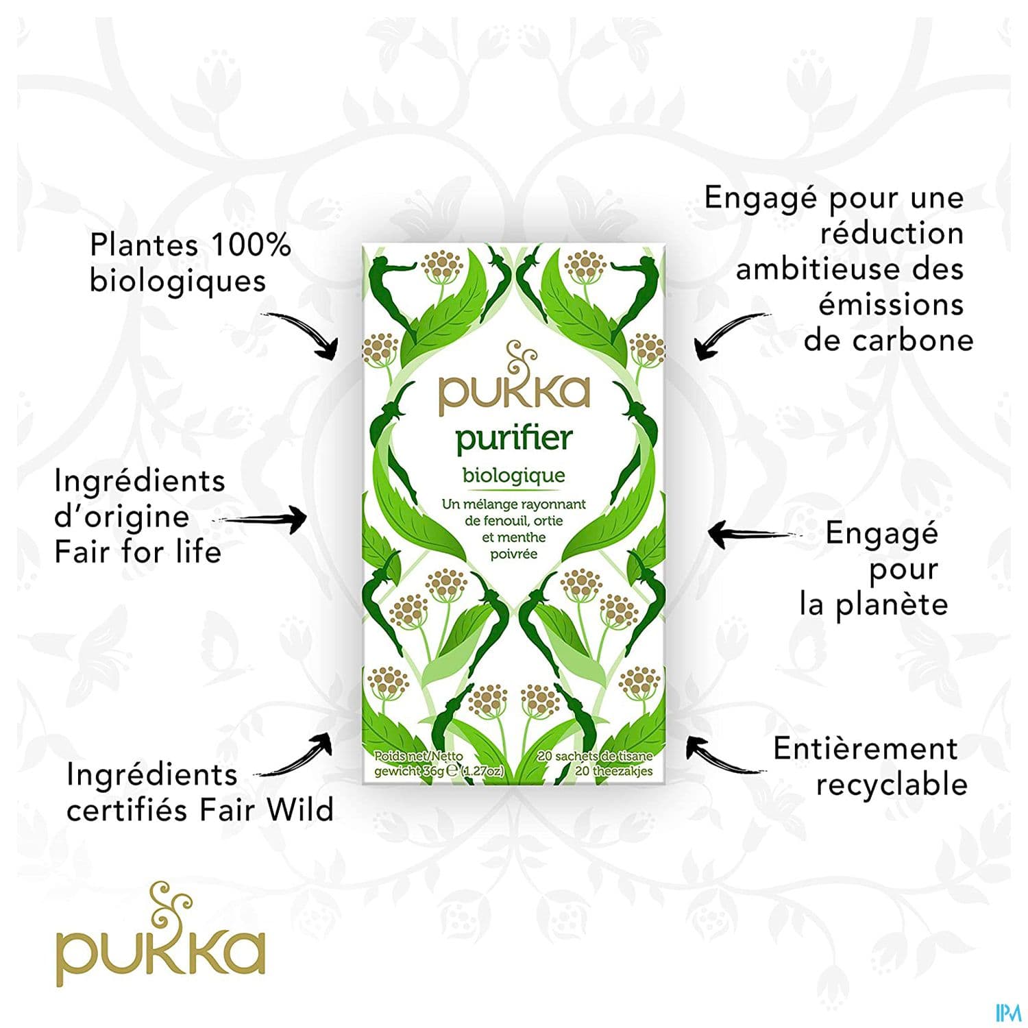 PUKKA INFUS PURIFIER SACH 20