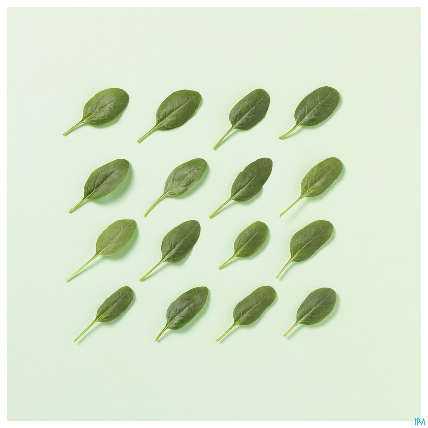 POPOTE PUREE EPINARD BIO 120G