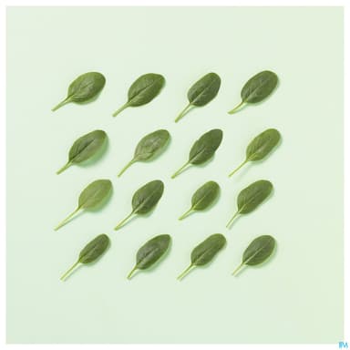 POPOTE PUREE EPINARD BIO 120G