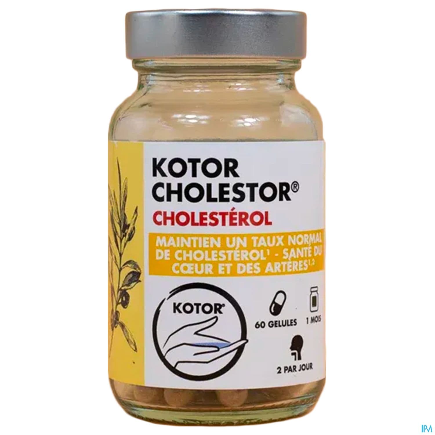 Kotor Cholestor Gelule 60