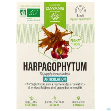 DAYANG HARPAGOPHYTUM BIO GELUL30