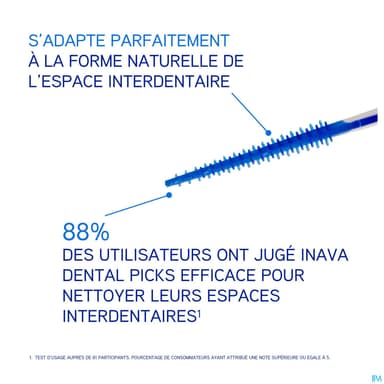 INAVA DENTAL PICKS RECH 36+BTE VOY
