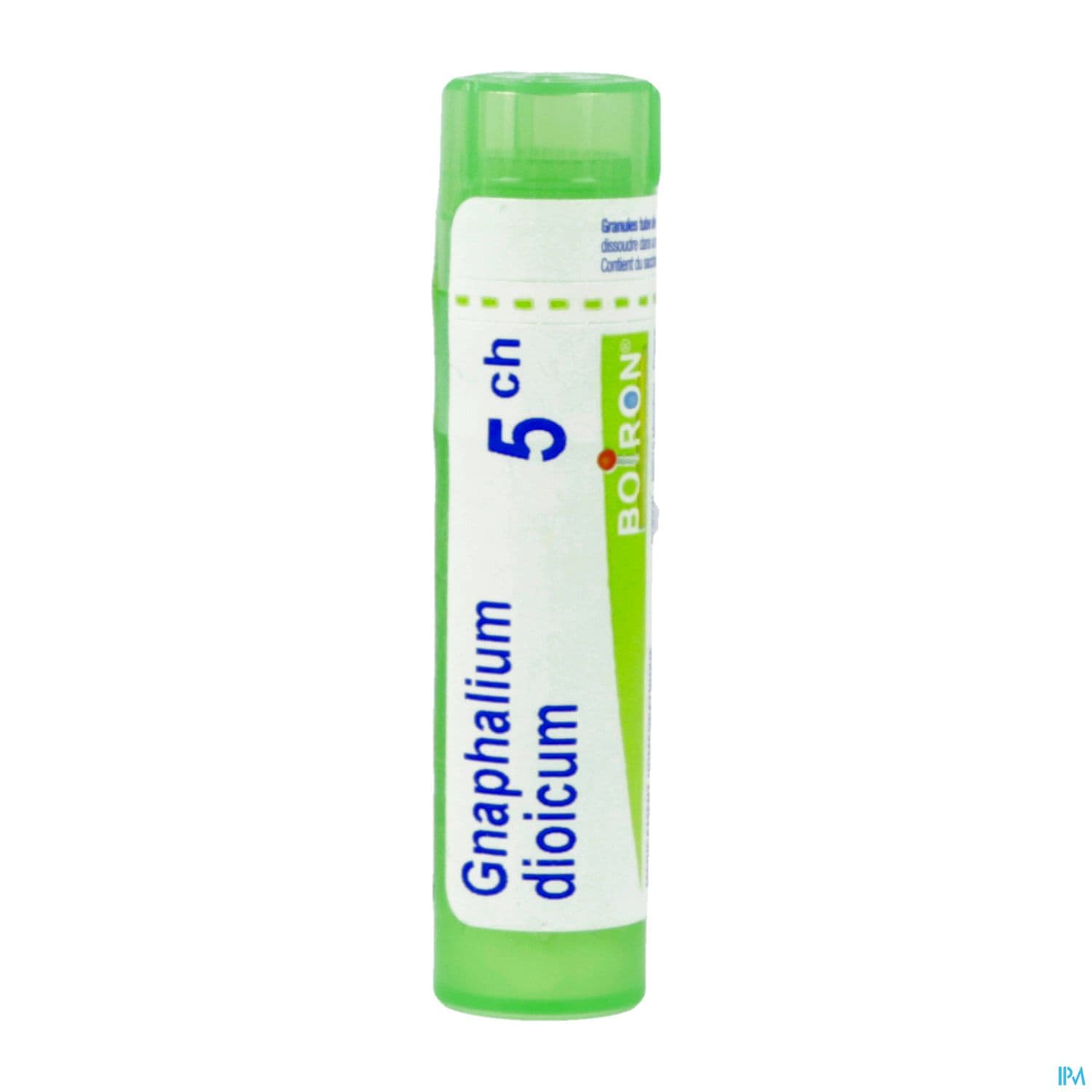 GNAPHALIUM DIOIC 5CH TG B